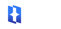 1Fin